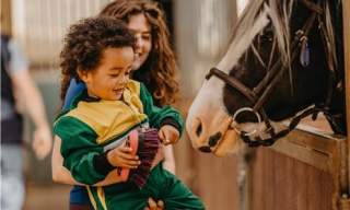 Adventure Ride with Crindle Stables