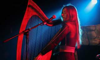 Dara Dubh