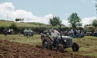 Ferguson Tractor Day