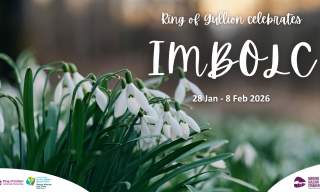 Imbolc Festival | Ring of Gullion