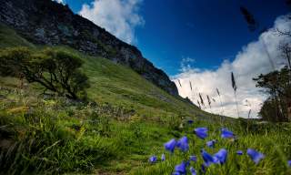 Binevenagh Nature Reserve