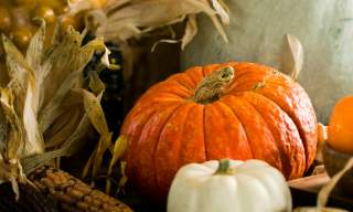 Halloween at Montalto
