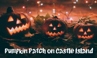 Pumpkin Patch Experience – Castle Island