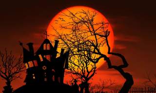 Halloween in Newry City