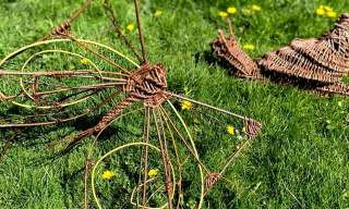 Weave a Willow Dragonfly and Butterfly Workshop in The Walled Garden