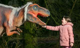 Roar Roar Dinosaur