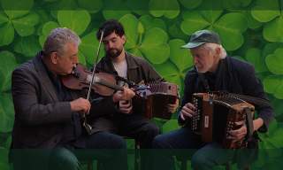 The Blind Fiddler