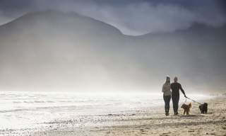 Murlough Beach