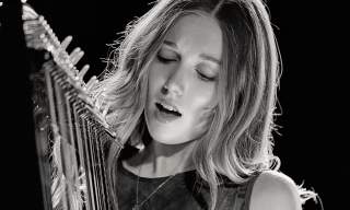 Niamh and the Noades