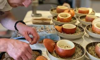 SOLD OUT | Secret Dining with Paul Cunningham