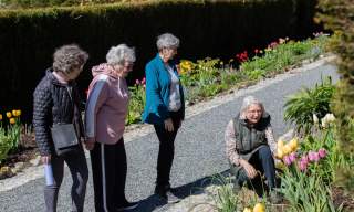 Castlewellan Forest Park