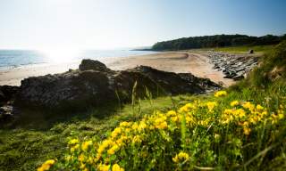North Down Coastal Path