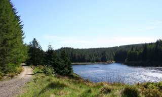 Banagher Glen