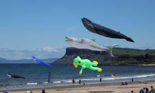 Rathlin Sound Festival