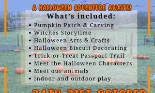 Spooky Season at Fermanagh Fun Farm