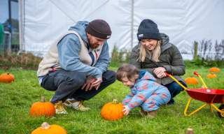 Streamvale's Halloween Pumpkin Patch 2026