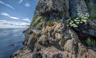 The Gobbins Cliff Path
