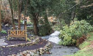 Leprechaun Treasure Trail