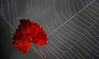 'The Thinning Veil...' A Samhain Creative Writing Workhsop