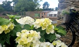 The Walled Garden Helen's Bay EHOD 2026
