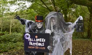 Halloween Happenings in Coleraine