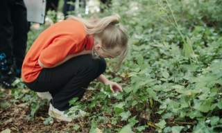 Nature Day at Ulster Folk Museum