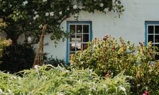 Wildlife Walk: Summer
