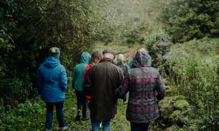 Leaf and Lore: Autumn Native Tree Walk