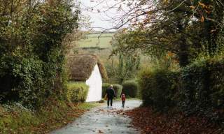 Wildlife Walk: Autumn