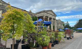 Specialist Plant Fair