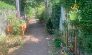 Foxglove Alley - Music session
