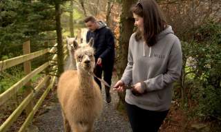 Ballyburren Outdoor Escapes
