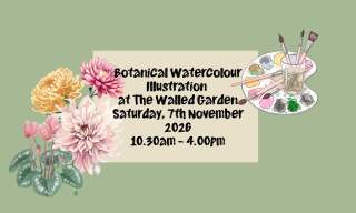 Botanical Watercolour Illustration at the Walled Garden