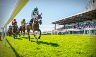 Downpatrick Racecourse Fixtures