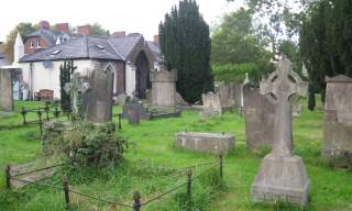Friends of Friar's Bush - Standard Tour