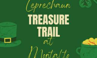 Leprechaun Treasure Trail