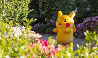 Pokémon TCG Mega Evolution Trail at Rowallane Garden