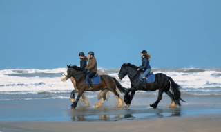 Beach Ride Experience with Crindle Stables