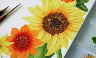 Botanical Watercolour Illustration at the Walled Garden