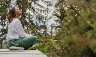 Woodland Immersion Retreat - A Full Day Seasonal Wellness Experience