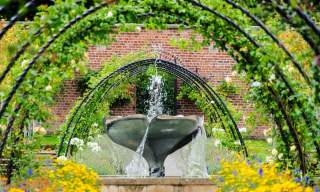 Bangor Castle Walled Garden and Castle Park