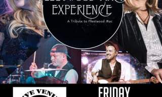 The Fleetwood Mack Experience Live in Hull at O'Rileys !