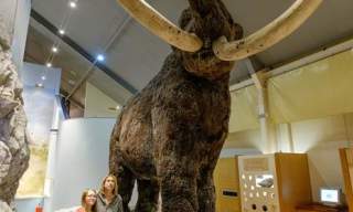 Hull & East Riding Museum