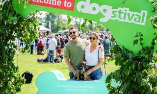 Dogstival