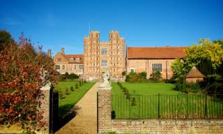 See the Lambs at Layer Marney Tower