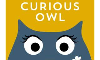 The Curious Owl