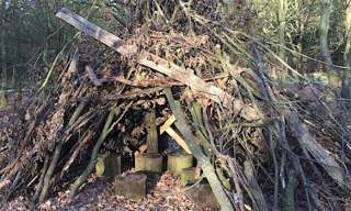 Fingringhoe: Welcome to the Stone Age!