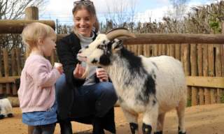 Easter Holidays at Colchester Zoological Society