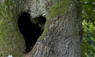 Fingringhoe Friendship bracelets