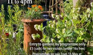 Rowhedge Open Gardens
